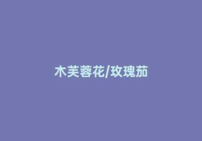 木芙蓉花/玫瑰茄