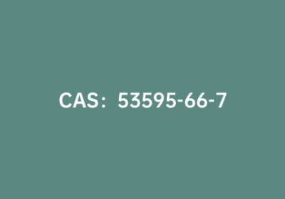 CAS：53595-66-7|2-氯噻吩-5-磺酰胺