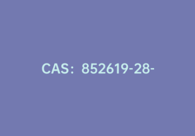 CAS：852619-28-4|1-(5-溴-2-噻吩)2,2-二羟基乙酮