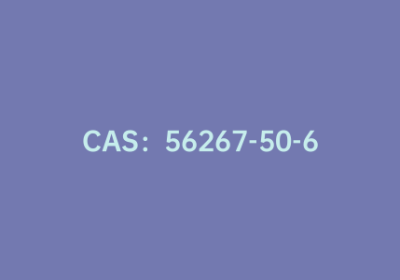 CAS：56267-50-6|N-(2-噻吩基)氨基甲酸叔丁酯