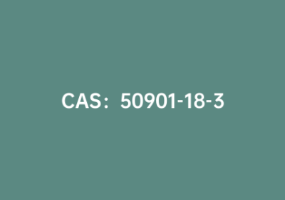 CAS：50901-18-3|3-(乙酰氨基)噻吩-2-羧酸