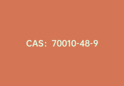CAS：70010-48-9|4-(2-噻吩)苯胺