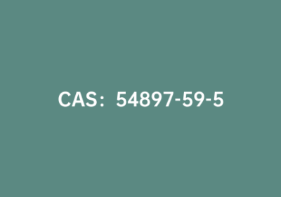 CAS：54897-59-5|DL-2,3-二氨基丙酸.单盐酸盐