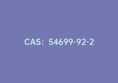 CAS：54699-92-2|4-甲基-1-哌嗪乙酸