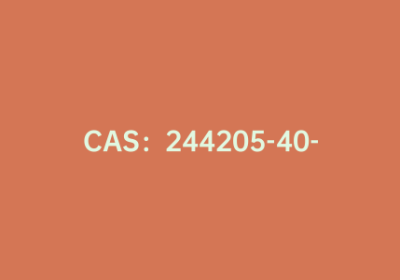 CAS：244205-40-1|2-溴苯基硼酸