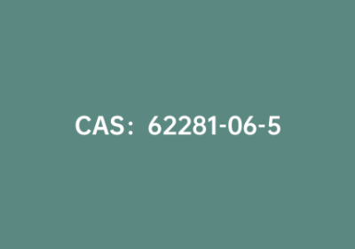 CAS：62281-06-5|2-辛基十二胺