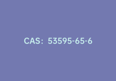 CAS：53595-65-6|5-溴噻吩-2-磺酰胺
