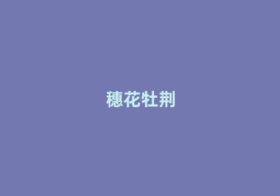 穗花牡荆