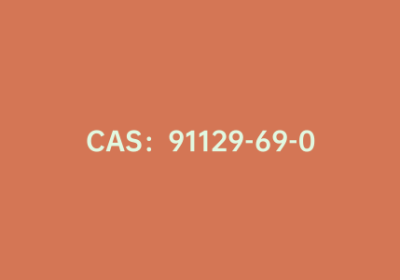 CAS：91129-69-0|2-丁氧基苯硼酸