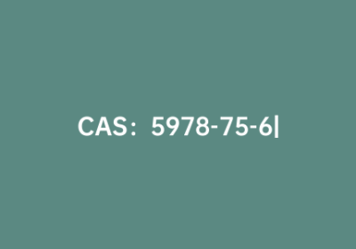 CAS：5978-75-6|9-氨基芴.盐酸盐
