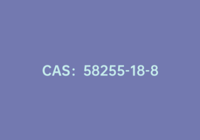 CAS：58255-18-8|N-甲基-2-噻吩甲胺