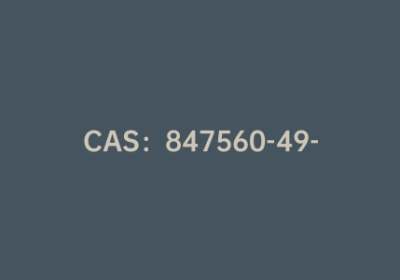 CAS：847560-49-0|4-苄氧基-2-甲基苯硼酸