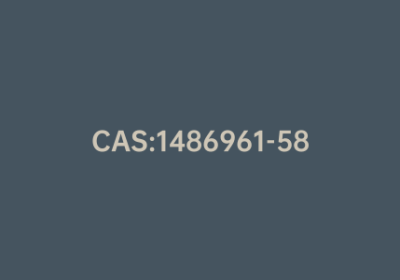 CAS:1486961-58-3|3-​[[[3-​(Aminomethyl)​-​5-​methyl-​1-​oxohexyl]​amino]​methyl]​-​5-​methyl-hexanoic Acid