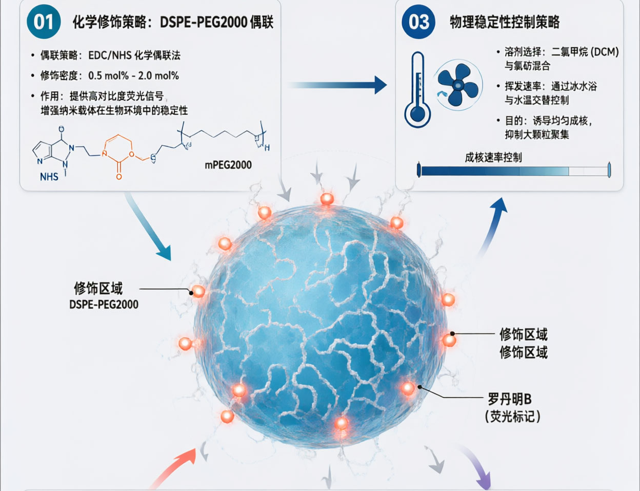 DSPE-PEG2000 磷脂：提升锰锌铁氧体纳米晶生物稳定性与体内富集