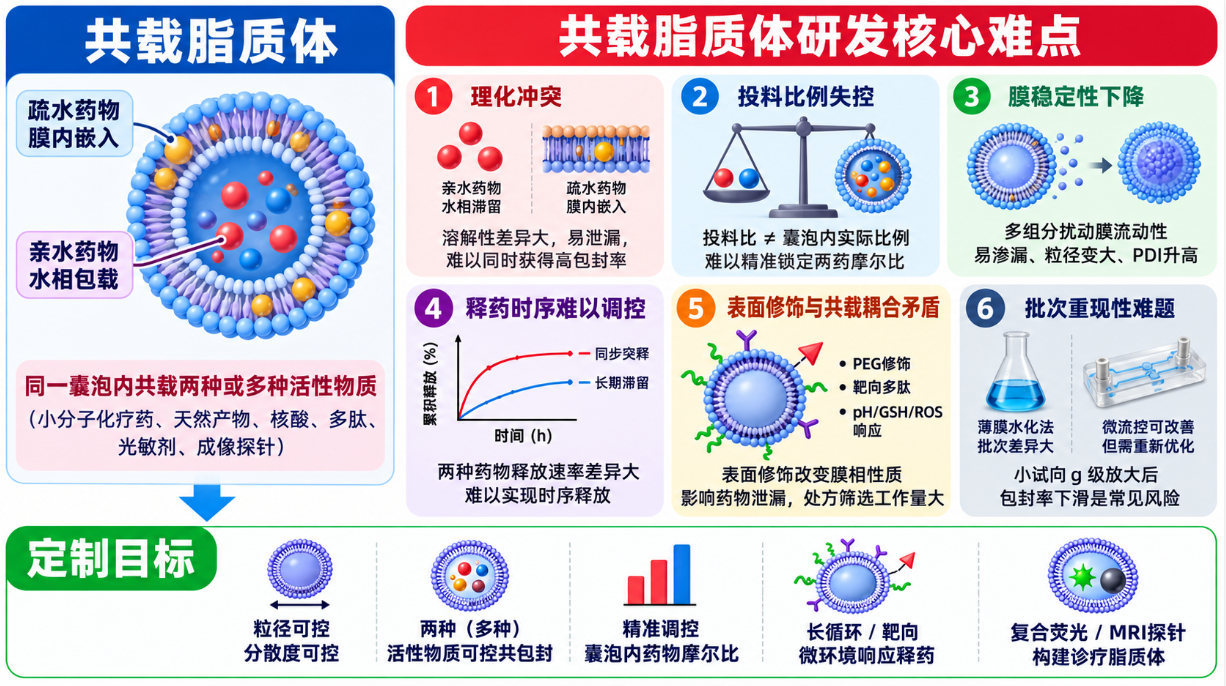 共载药脂质体定制：多药协同递送、表面修饰与智能响应处方开发
