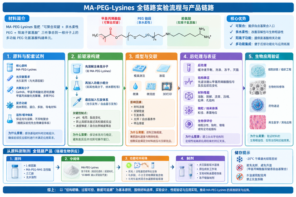 Mannose-PEG-PLGA，甘露糖聚乙二醇聚乳酸羟基乙酸共聚物靶向递送性能简介