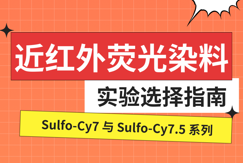 CY7.5-HA，菁染料标记透明质酸，Cyanine7.5-Hyaluronic Acid：组织成像研究