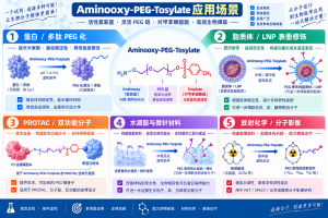 Aminooxy-PEG-Tosylate，氨甲基PEG甲苯磺酸酯的核心技术原理讲解