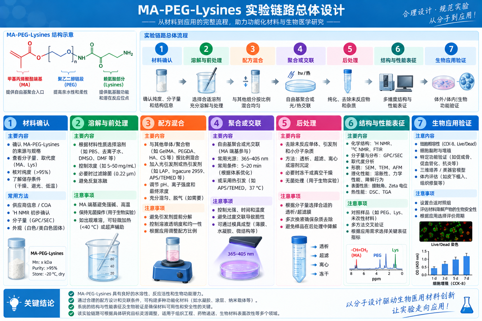 甲基丙烯酸酯端基聚乙二醇修饰赖氨酸 MA-PEG-Lysines 完整实验链路产品搭配