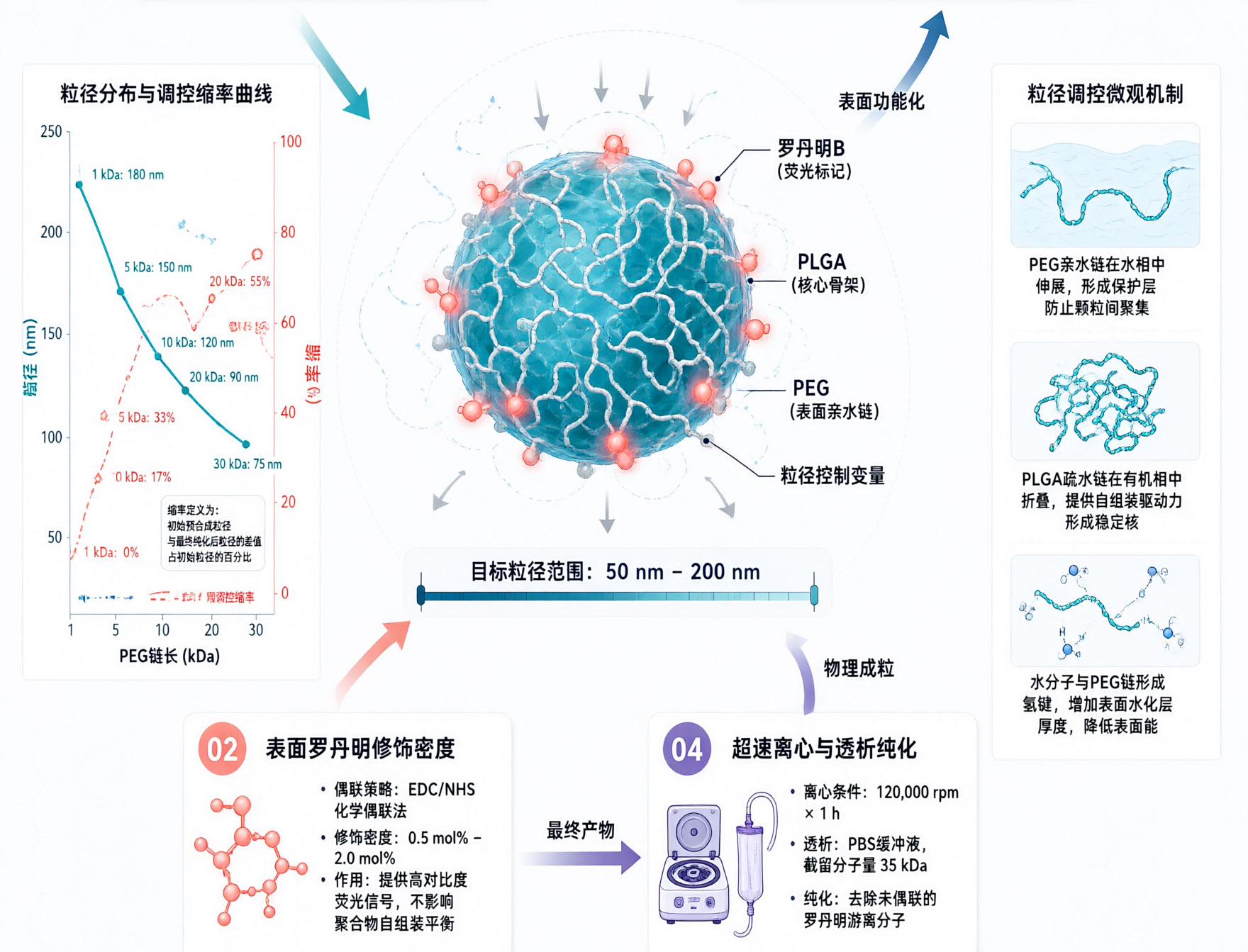 PLGA-PEG-RB，罗丹明标记PLGA-PEG聚合物的粒径调控方案