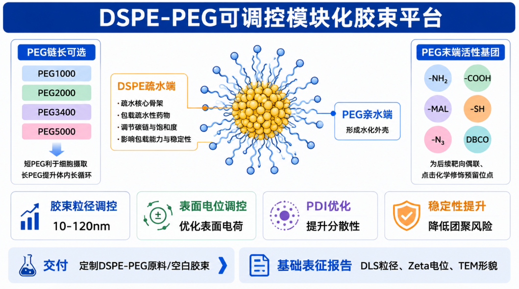 DSPE-PEG脂质聚合物胶束载药荧光示踪定制服务