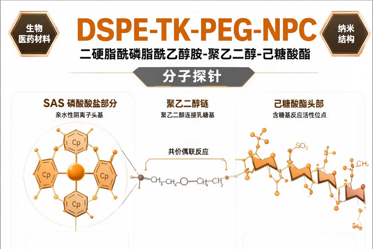 DSPE-TK-PEG-NPC，二硬脂酰磷脂酰乙醇胺-酮缩硫醇-聚乙二醇-对硝基苯基碳酸酯