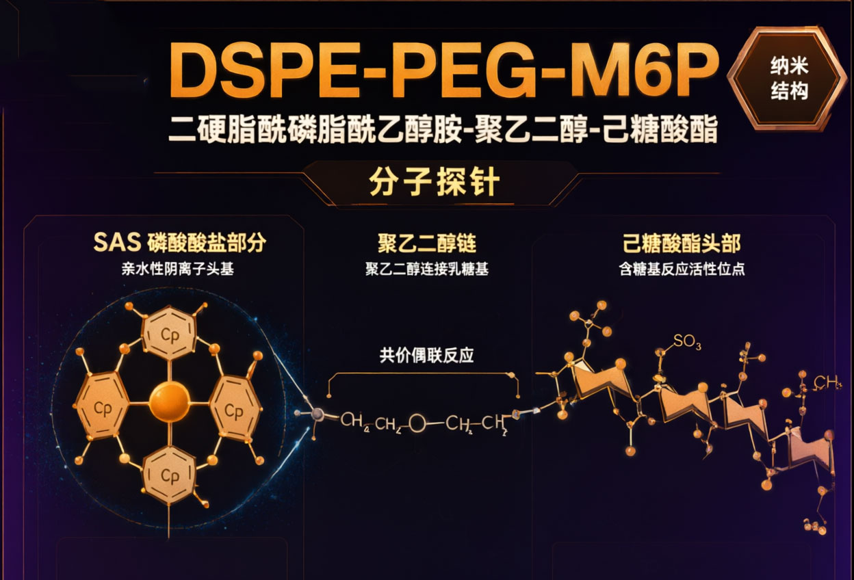 DSPE-PEG-M6P，二硬脂酰磷脂酰乙醇胺-聚乙二醇-甘露糖-6-磷酸，脂质体表面修饰