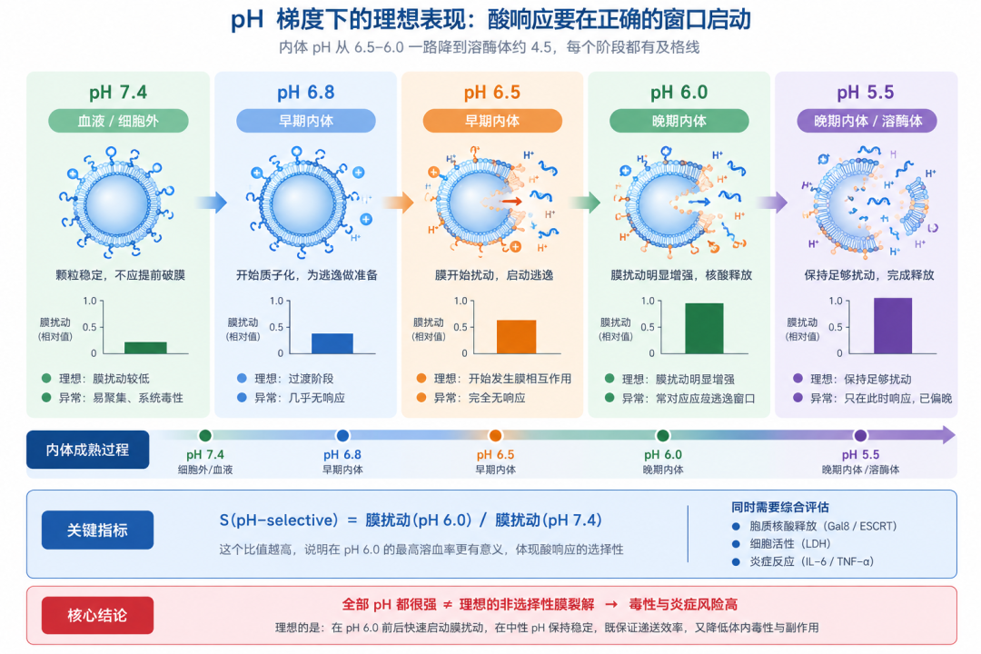 LNP内体逃逸：拼 “更快酸响应”，还是赌 “更强膜破坏”？真相是 —— 你得两个都要
