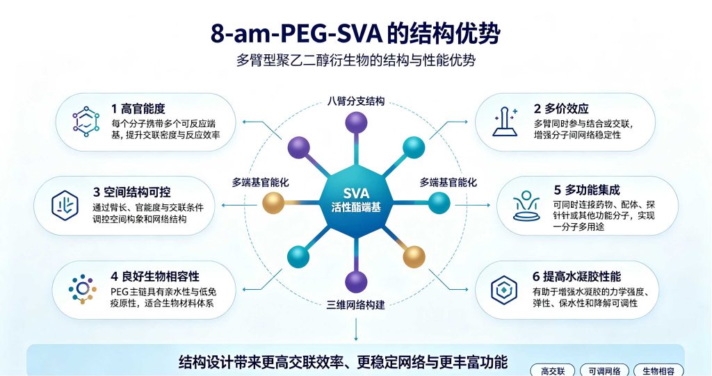 8-arm-PEG-SVA，八臂-聚乙二醇修饰琥珀酰亚胺戊酸酯结构说明
