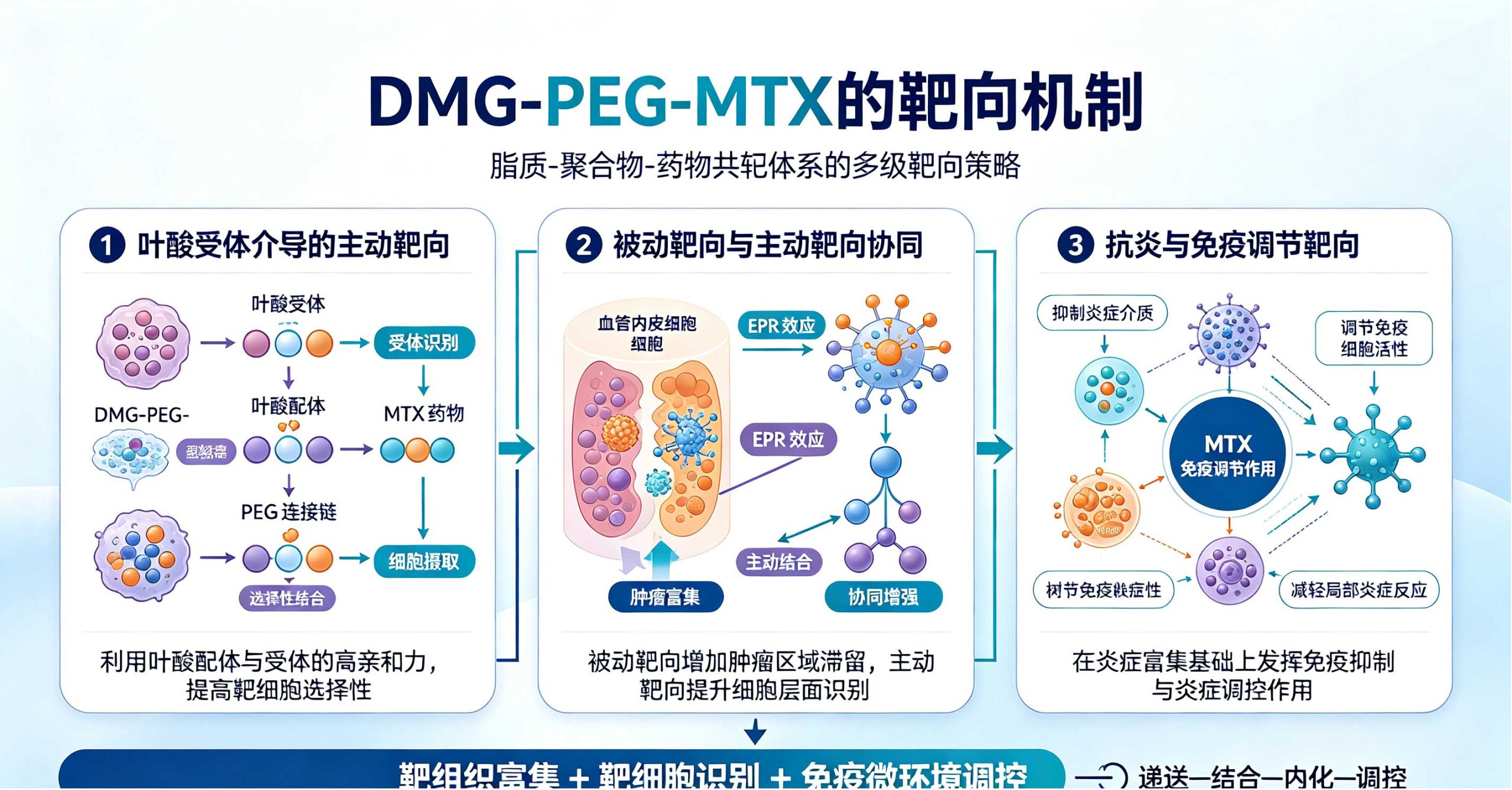 DMG-PEG-MTX，二肉豆蔻酰-sn-甘油PEG甲氨蝶呤靶向制剂构建应用