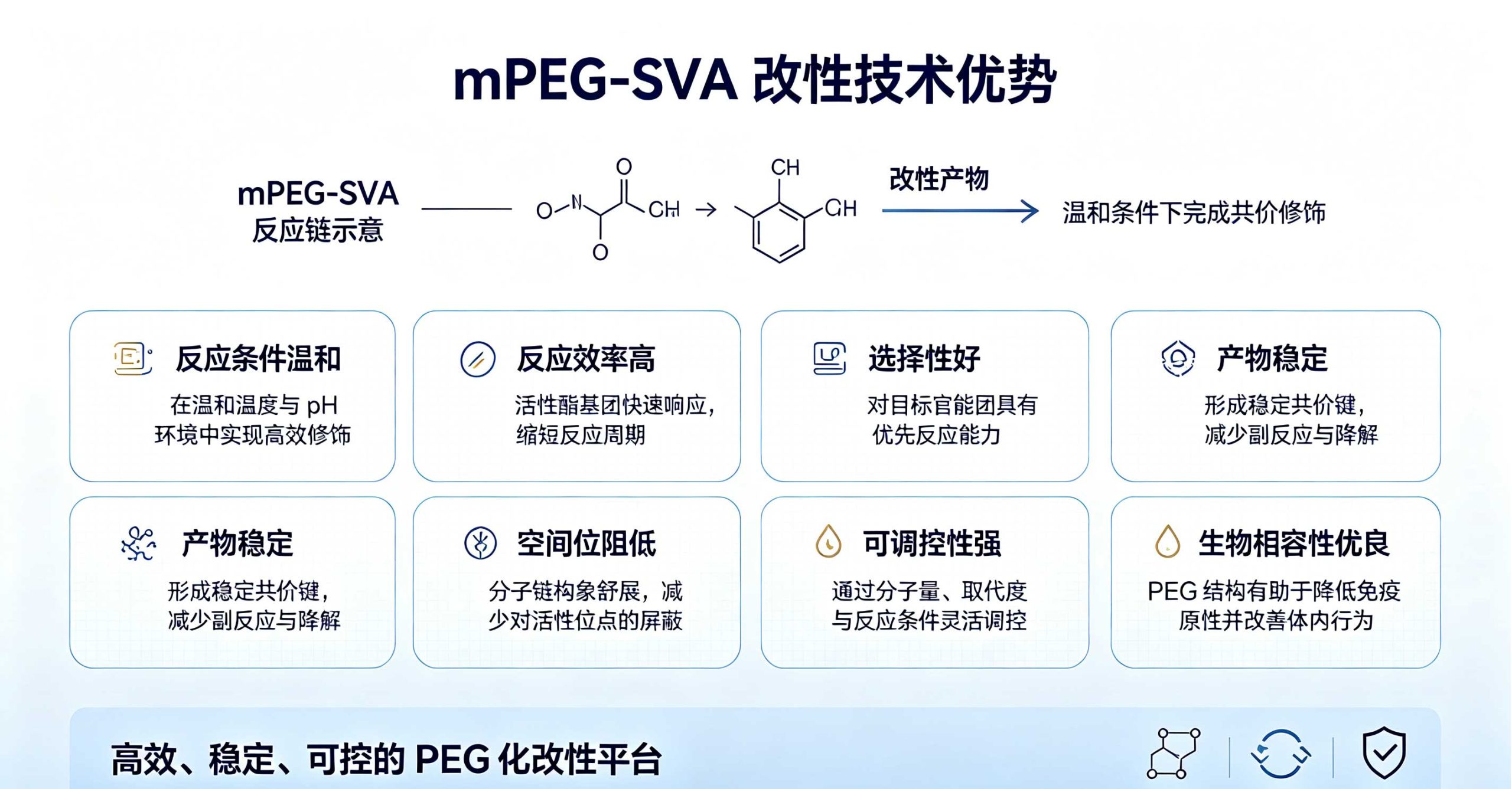 mPEG-SVA，甲氧基聚乙二醇化琥珀酰亚胺戊酸酯 Succinimidyl-mPEG 改性技术原理