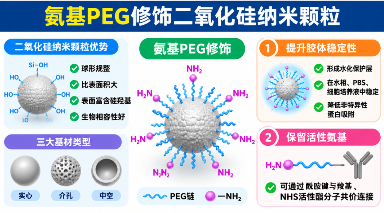 NH2-PEG-SiO2氨基PEG修饰二氧化硅纳米颗粒定制：粒径调控、表面功能化与偶联方案