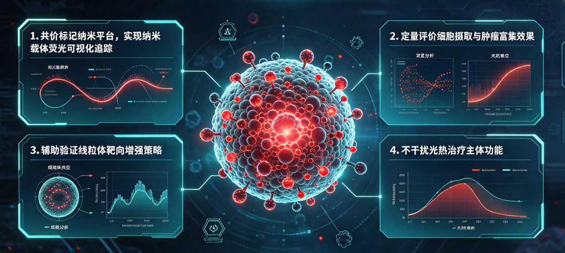 Cy5 NHS ester｜共价标记表面可转换纳米颗粒，实现线粒体靶向示踪