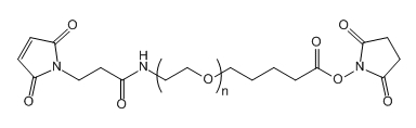 MAL-PEG-SVA，马来酰亚胺-聚乙二醇-琥珀酰亚胺戊酸酯，分步生物偶联策略介绍