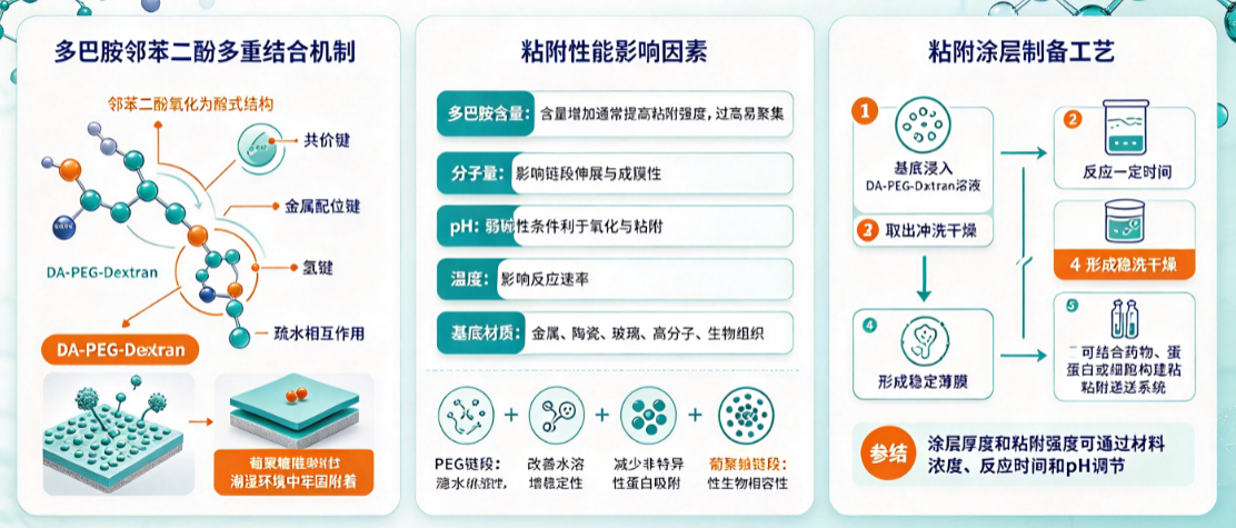DA-PEG-Dextran，多巴胺-聚乙二醇-葡聚糖：粘附性能特点